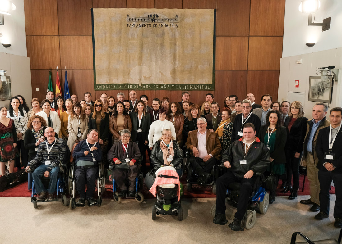 Discapacidad Andalucía Soledad Derechos Parlamento